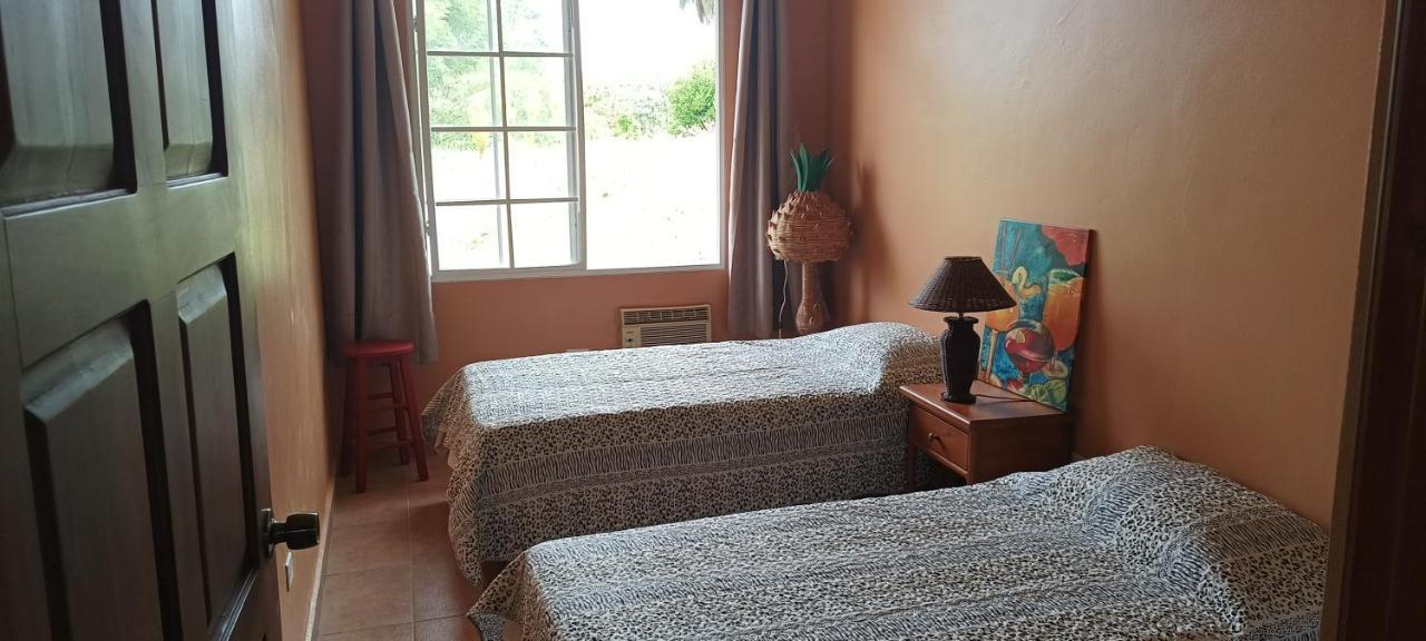 Boca Chica Bnb At Gone Fishing Panama Resort المظهر الخارجي الصورة